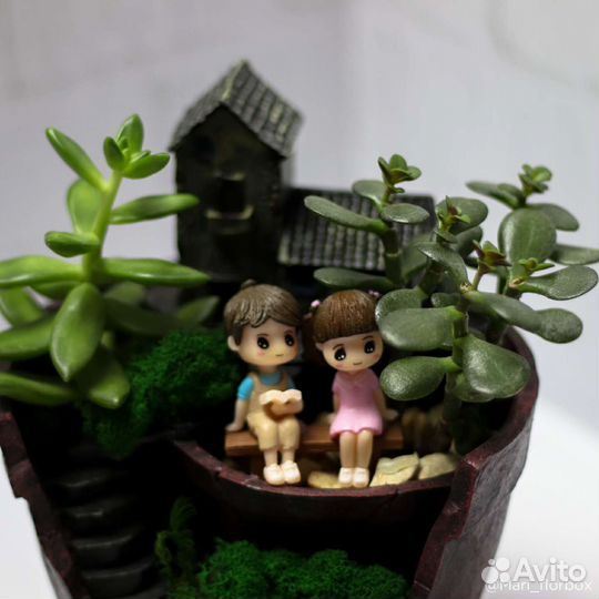 Флорариум композиция из растений суккуленты детям