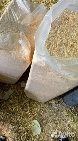 Сено в тюках 2022