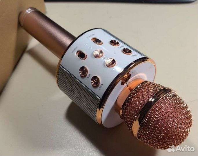 Оригинальный караоке-микрофон wster WS-858