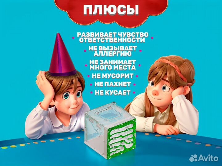 Муравьиная ферма