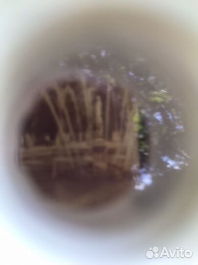 СССР фотография в бинокле