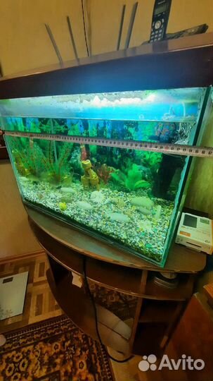 Аквариум