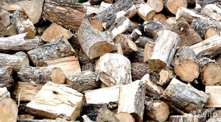 Дрова в Сертолово