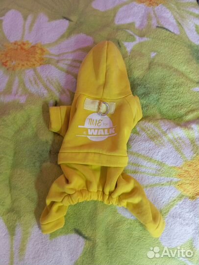 Одежда для собак