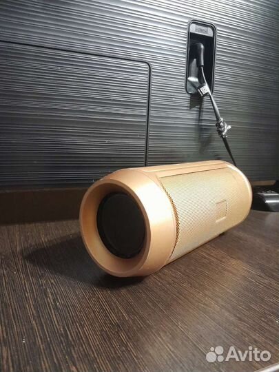 Колонка charge 2+