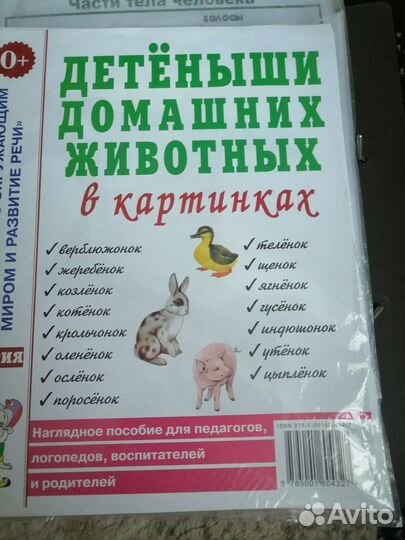 Демонстрационный материал для дс