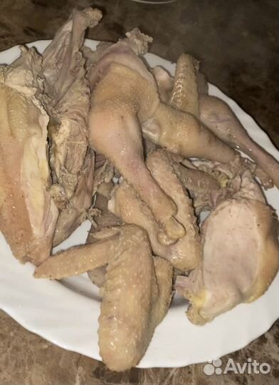 Куры домашние самовызов