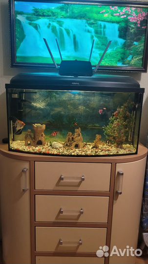 Аквариум