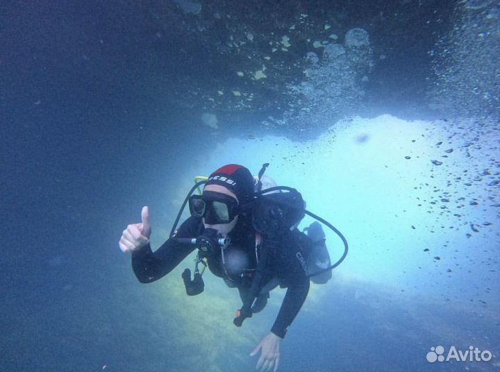 Дайвинг трансфер бесплатно
