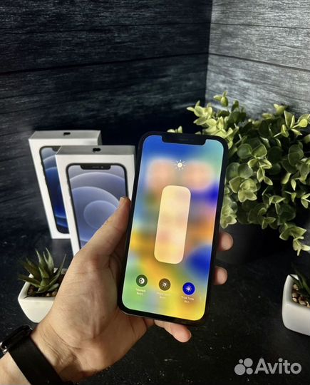 iPhone 12, 256 ГБ