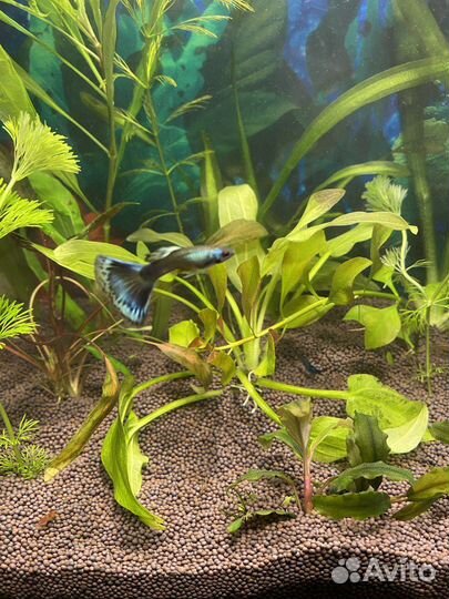 Пропант нейтральный грунт для аквариума