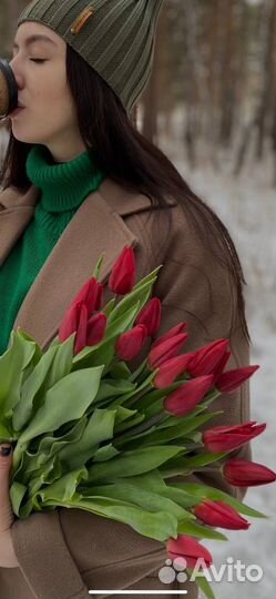 Хризантемы, Розы, Тюльпаны и т.д продажа,доставка