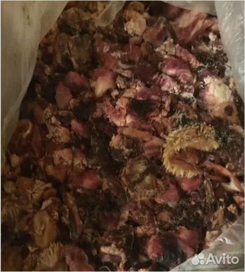 Бесплатные отходы для животных - собак,кошек,курей