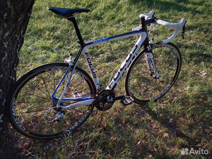 Focus Izalco pro (56)
