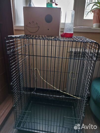 Клетку для попугаев и все аксессуары