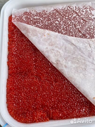 Икра красная кета