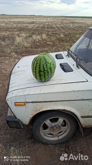 Арбузы и дыни