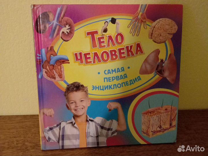 Энциклопедия для детей Тело человека