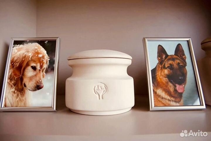 Кремация домашних животных