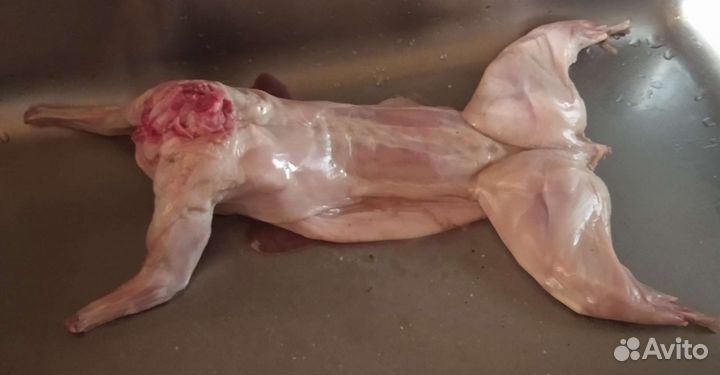 Крольчатина