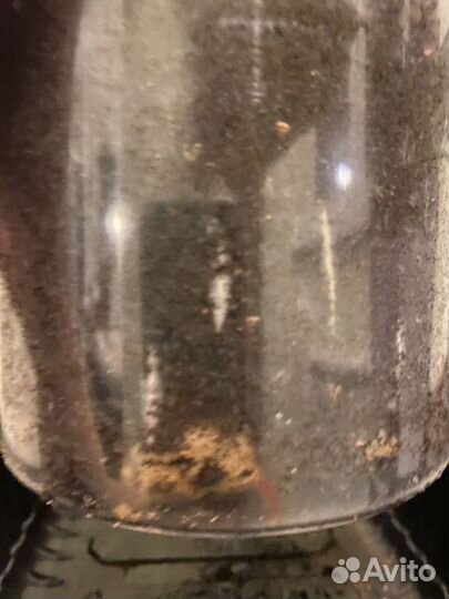 Креативный комплект: ктенанта + строманта