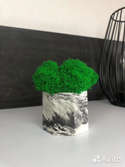 Кашпо со стабилизированным мхом