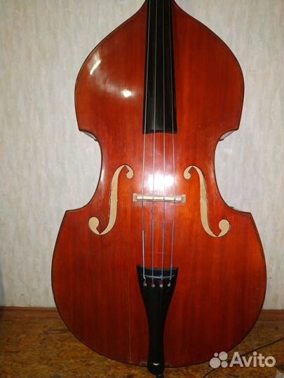 Контрабас Музима