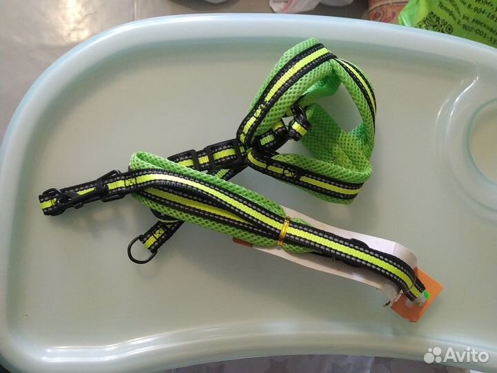 Шлейка и поводок