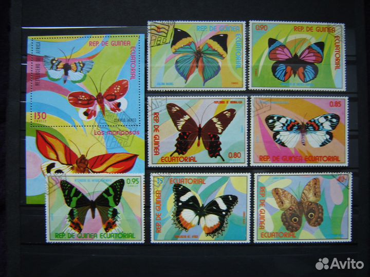 Фауна. Бабочки