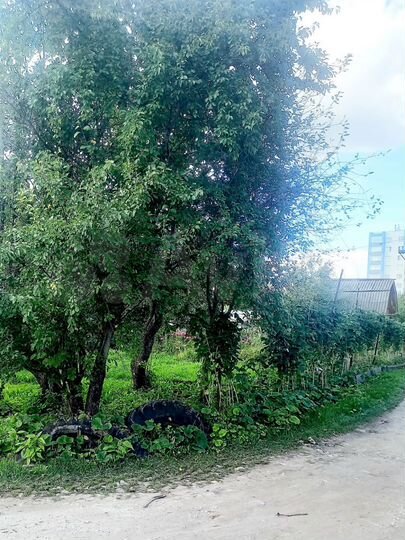 Дача 17 м² на участке 7,8 сот.