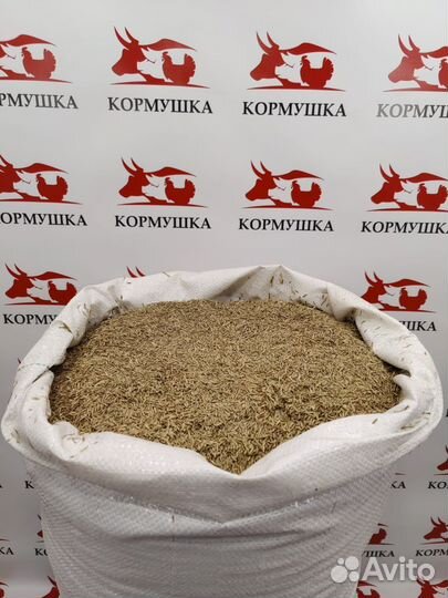 Семена Газонных трав, смесь