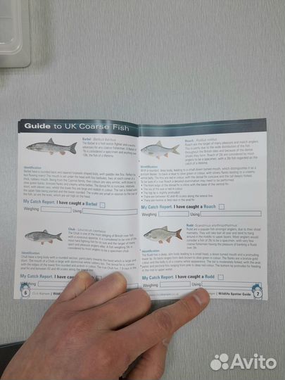 Набор начинающего рыболова Korum Pole (штекер)