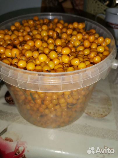 Облепиха ягоды