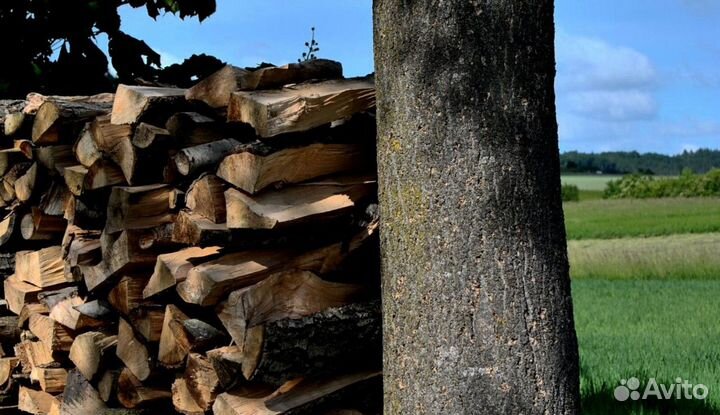 Дрова из ло