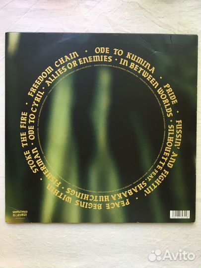 Виниловая Пластинка