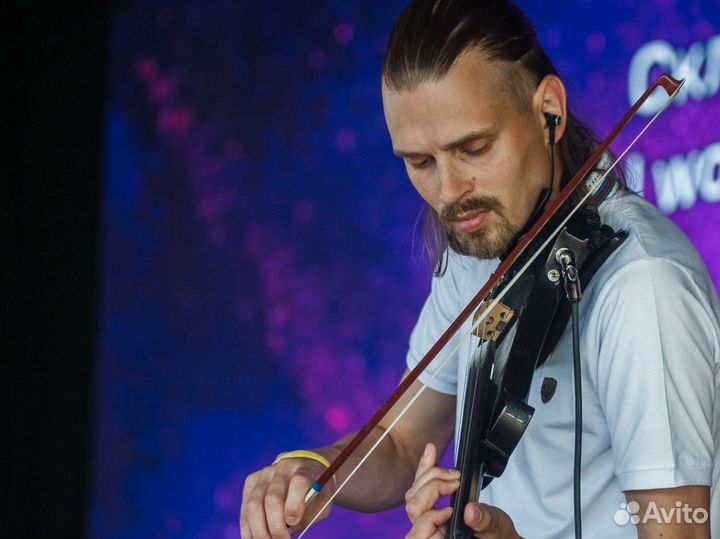 Скрипач. Скрипка. Живая музыка