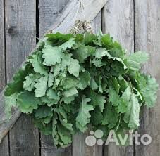 Веники дубовые