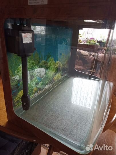 Аквариум