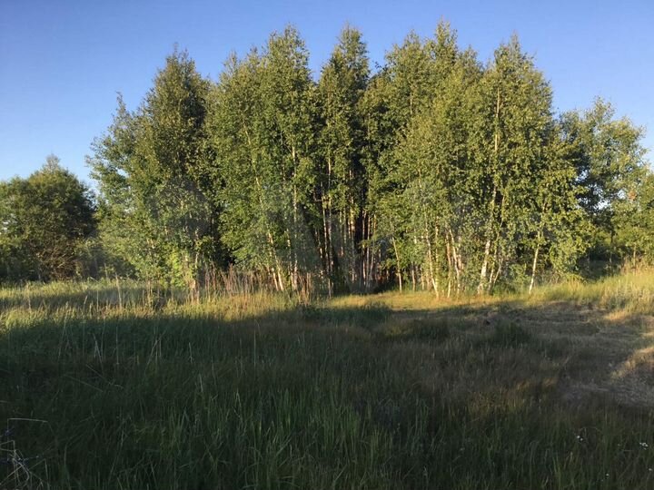 Дом 37 м² на участке 25 сот.