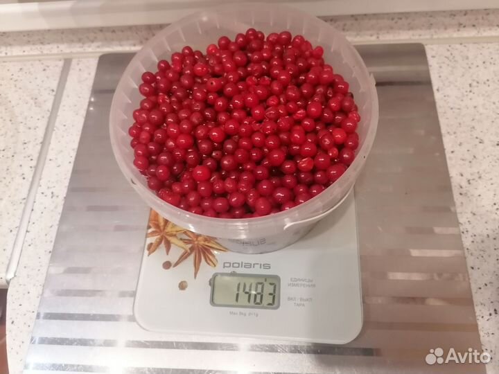 Ягоды калины