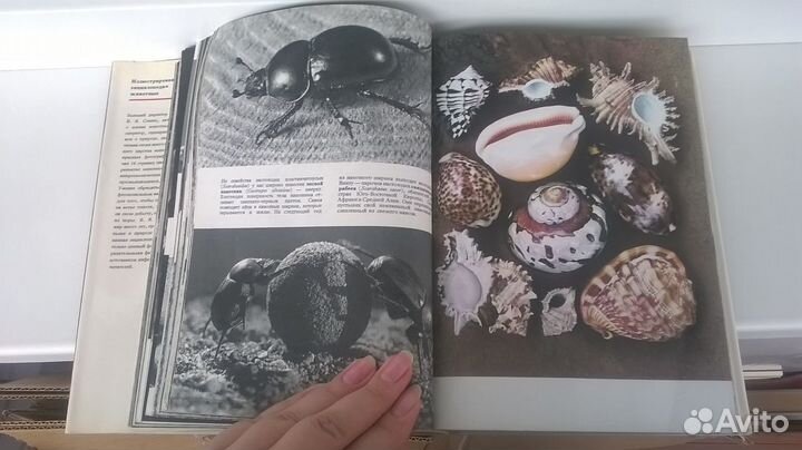 Иллюстрированная энциклопедия животных Станек В