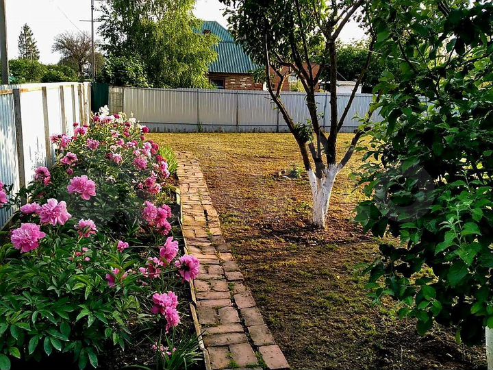 Дом 51,4 м² на участке 20 сот.