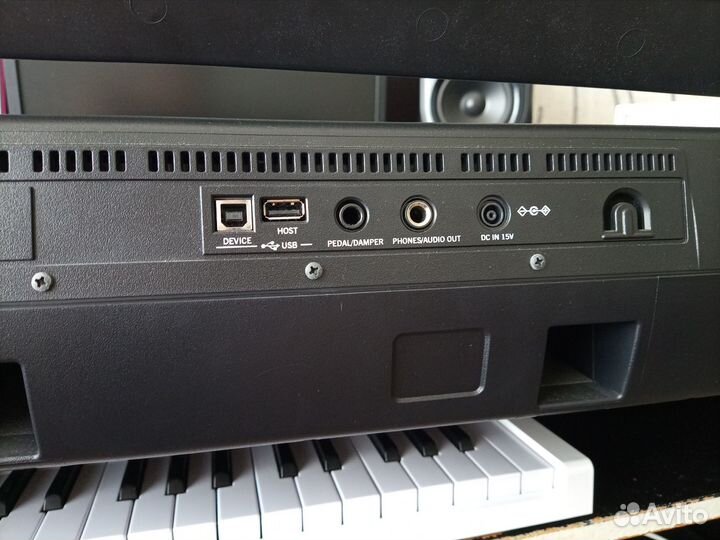 Korg pa300