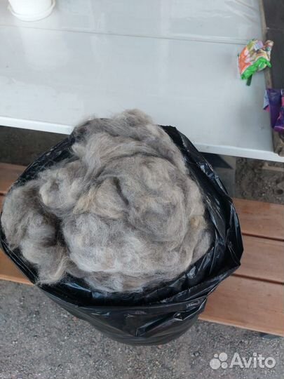 Собачья шерсть продам