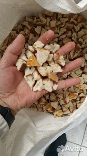 Сушеный хлеб для животных