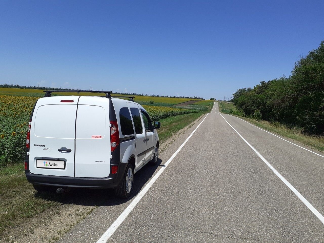 Renault Kangoo: фото владельца