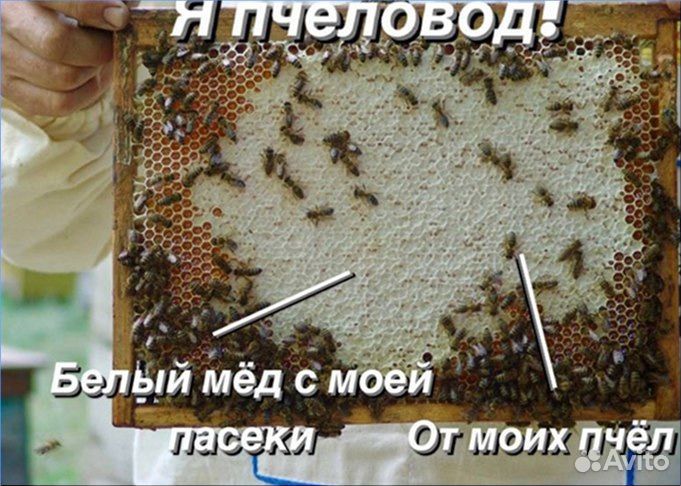 Аккураевый мед