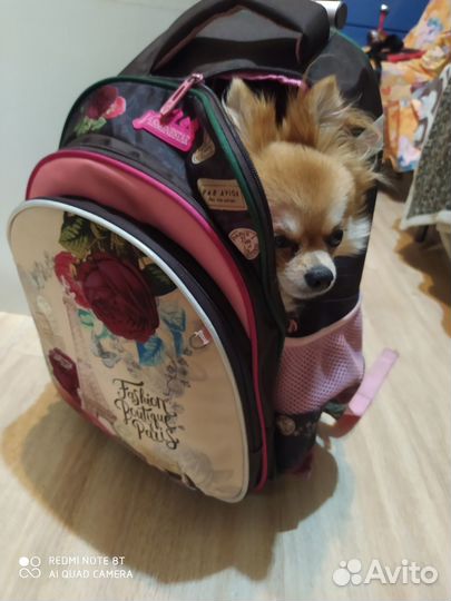 Чемодан -рюкзак