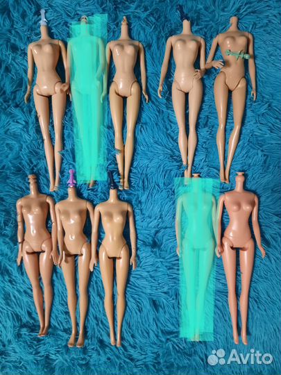 Тела кукол Барби, тело винкс и куклы Кены