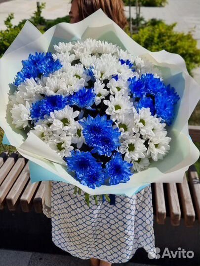 Хризантема букет